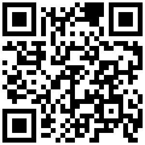 QR Resultados 28 corrida carabineros